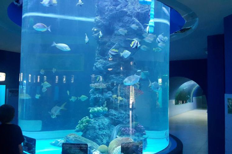 Морской аквариум в Самутсакхон