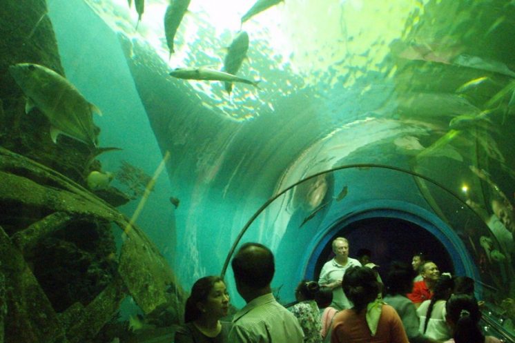 Научно-исследовательский центр с аквариумами