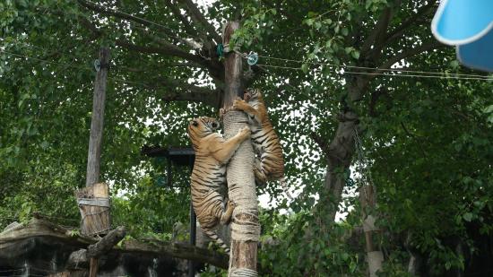 Зоопарк Songkhla Zoo